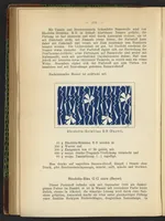 An illustration from Praktisches Handbuch des Zeugdrucks (1905)