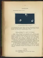 An illustration from Praktisches Handbuch des Zeugdrucks (1905)