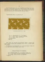 Picture 89 of 124 from Praktisches Handbuch des Zeugdrucks (1905), leaf 191