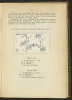 Picture 97 of 124 from Praktisches Handbuch des Zeugdrucks (1905), leaf 203