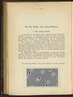 Picture 100 of 124 from Praktisches Handbuch des Zeugdrucks (1905), leaf 206