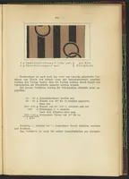 An illustration from Praktisches Handbuch des Zeugdrucks (1905)