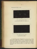 An illustration from Praktisches Handbuch des Zeugdrucks (1905)