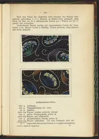 Picture 112 of 124 from Praktisches Handbuch des Zeugdrucks (1905), leaf 229