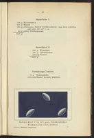 Picture 4 of 124 from Praktisches Handbuch des Zeugdrucks (1905), leaf 39