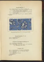 Picture 6 of 124 from Praktisches Handbuch des Zeugdrucks (1905), leaf 43
