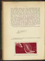 An illustration from Praktisches Handbuch des Zeugdrucks (1905)