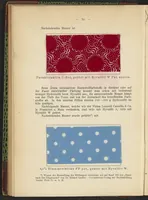 Picture 17 of 124 from Praktisches Handbuch des Zeugdrucks (1905), leaf 76