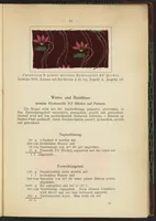 Picture 22 of 124 from Praktisches Handbuch des Zeugdrucks (1905), leaf 89