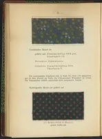 An illustration from Praktisches Handbuch des Zeugdrucks (1905)