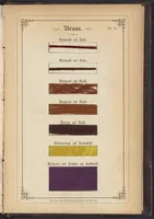 Picture 11 of 12 from Anilin-Färberei; das Gesammte der Färberei und Druckerei mit Kohlentheer-Farbstoffen auf Wolle, Baumwolle und Seide (1874), leaf 12