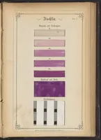 Picture 1 of 12 from Anilin-Färberei; das Gesammte der Färberei und Druckerei mit Kohlentheer-Farbstoffen auf Wolle, Baumwolle und Seide (1874), leaf 2