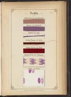 Picture 2 of 12 from Anilin-Färberei; das Gesammte der Färberei und Druckerei mit Kohlentheer-Farbstoffen auf Wolle, Baumwolle und Seide (1874), leaf 3