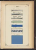 Picture 6 of 12 from Anilin-Färberei; das Gesammte der Färberei und Druckerei mit Kohlentheer-Farbstoffen auf Wolle, Baumwolle und Seide (1874), leaf 7