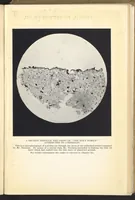 An illustration from The Painter's Methods and Materials (1926)