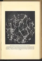An illustration from The Painter's Methods and Materials (1926)