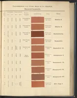 Picture 1 of 53 from Echtheits - Tabellen der Substantiven Baumwollfarbstoffe (1900), leaf 11