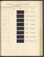 An illustration from Echtheits - Tabellen der Substantiven Baumwollfarbstoffe (1900)