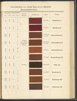 An illustration from Echtheits - Tabellen der Substantiven Baumwollfarbstoffe (1900)