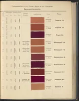 An illustration from Echtheits - Tabellen der Substantiven Baumwollfarbstoffe (1900)