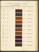An illustration from Echtheits - Tabellen der Substantiven Baumwollfarbstoffe (1900)