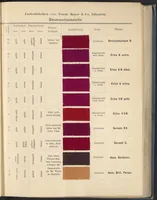 An illustration from Echtheits - Tabellen der Substantiven Baumwollfarbstoffe (1900)