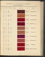 Picture 5 of 53 from Echtheits - Tabellen der Substantiven Baumwollfarbstoffe (1900), leaf 19