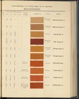 An illustration from Echtheits - Tabellen der Substantiven Baumwollfarbstoffe (1900)