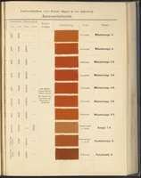 Picture 9 of 53 from Echtheits - Tabellen der Substantiven Baumwollfarbstoffe (1900), leaf 29