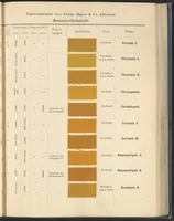 An illustration from Echtheits - Tabellen der Substantiven Baumwollfarbstoffe (1900)