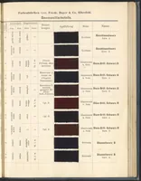 An illustration from Echtheits - Tabellen der Substantiven Baumwollfarbstoffe (1900)