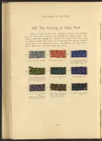 Picture 38 of 39 from Garment Dyeing (1912), leaf 114