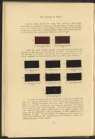 Picture 7 of 39 from Garment Dyeing (1912), leaf 24