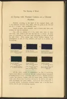 Picture 10 of 39 from Garment Dyeing (1912), leaf 27
