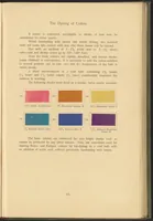 Picture 19 of 39 from Garment Dyeing (1912), leaf 45