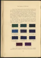 Picture 21 of 39 from Garment Dyeing (1912), leaf 50