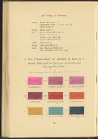 Picture 23 of 39 from Garment Dyeing (1912), leaf 54