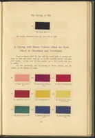 Picture 30 of 39 from Garment Dyeing (1912), leaf 69