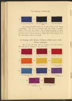 Picture 35 of 39 from Garment Dyeing (1912), leaf 86