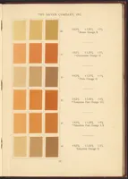 Picture 8 of 30 from Benzo Colours on Cotton Cloth (1900), leaf 23