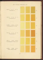 Picture 11 of 30 from Benzo Colours on Cotton Cloth (1900), leaf 29