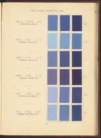 Picture 19 of 30 from Benzo Colours on Cotton Cloth (1900), leaf 45