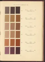 An illustration from Benzo Colours on Cotton Cloth (1900)
