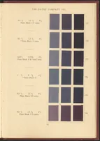 An illustration from Benzo Colours on Cotton Cloth (1900)