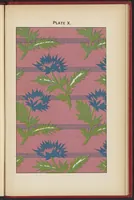 An illustration from Colour : A Handbook of the Theory of Colour (1900)