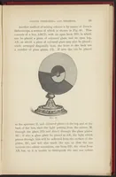 Picture 6 of 12 from Colour : A Handbook of the Theory of Colour (1900), leaf 73