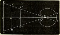 An illustration from Le corps humain / par A. Le Pileur. (1873)