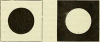 An illustration from Le corps humain / par A. Le Pileur. (1873)