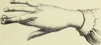 An illustration from Le corps humain / par A. Le Pileur. (1873)