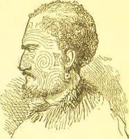 An illustration from Notes on noses / [by Eden Warwick [pseud.]]. (1852)